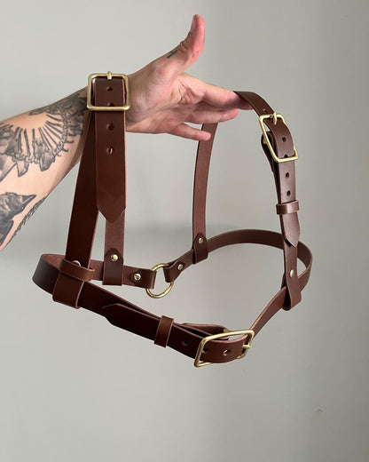 Reversible Chest Harness