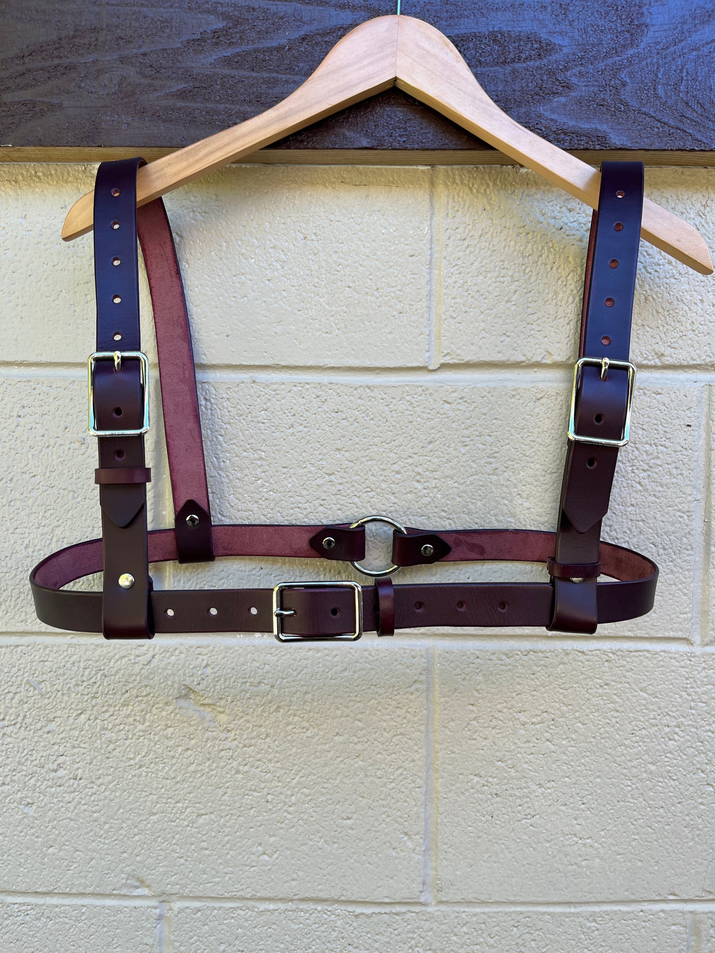 Reversible Chest Harness